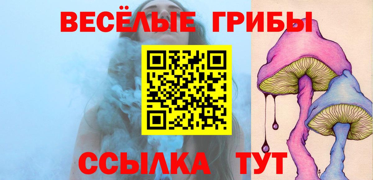 Псилоцибиновые грибы мухоморы Томск
