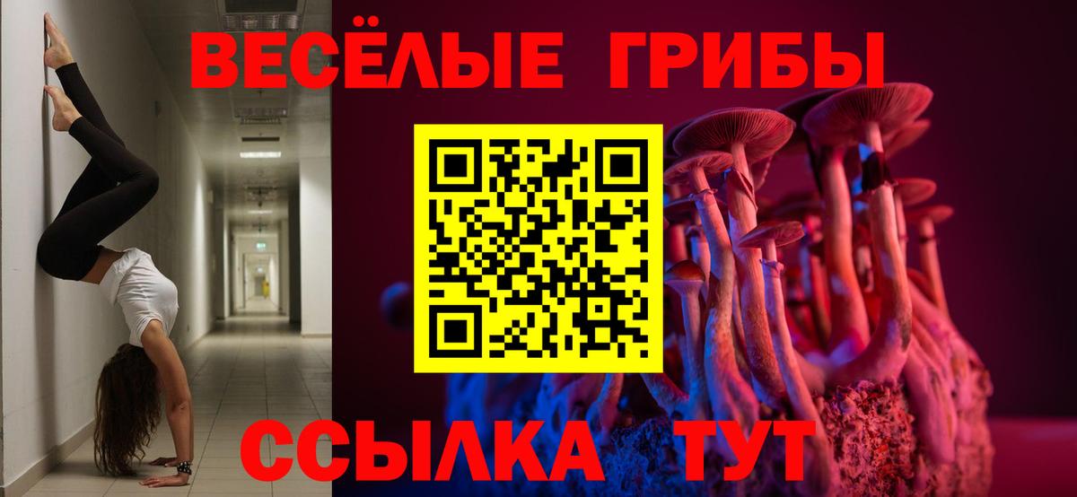 Псилоцибиновые грибы Psilocybe  Вход с VPN  Томск 